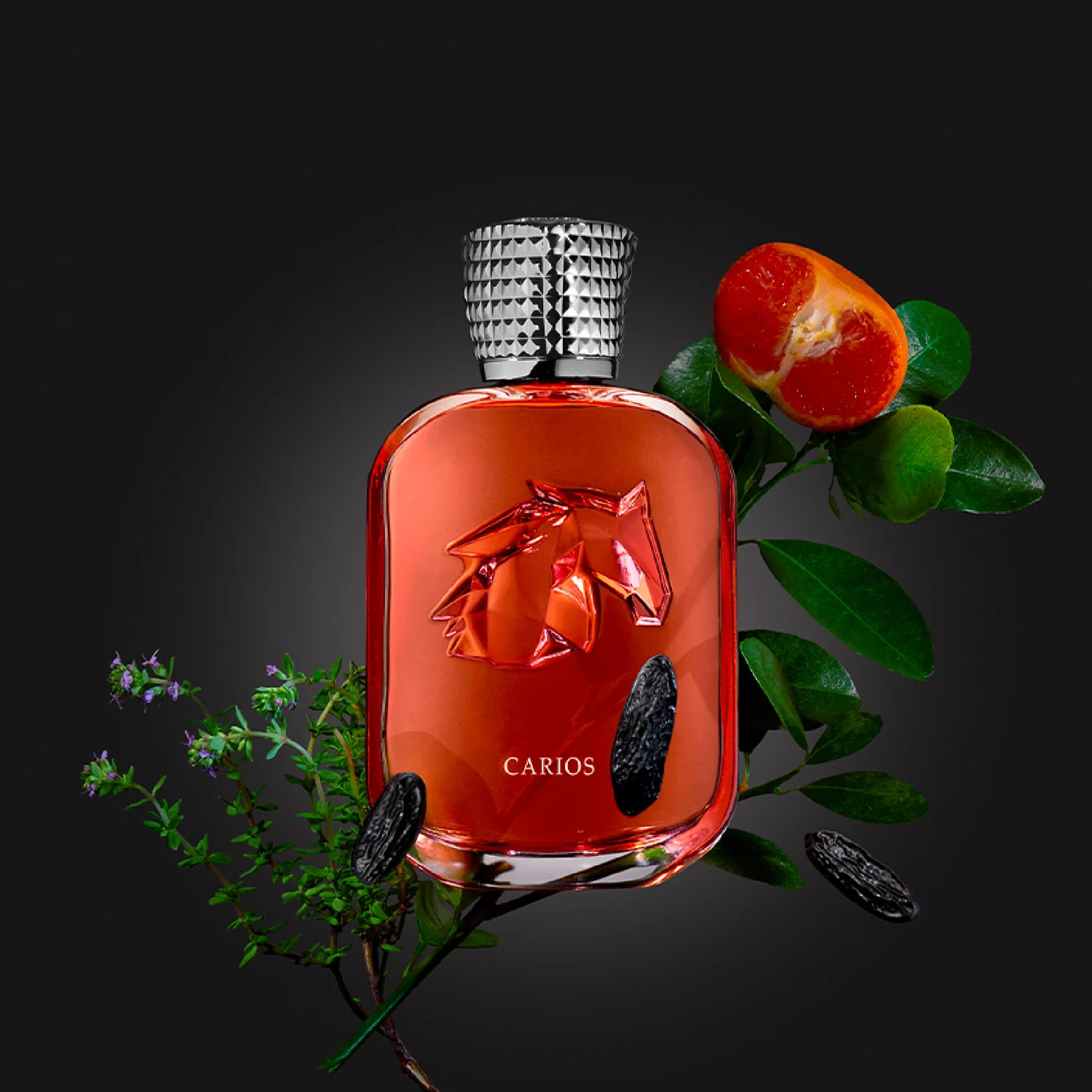 Parfums de Marly Carios Extrait de Parfum – Parfums de Marly