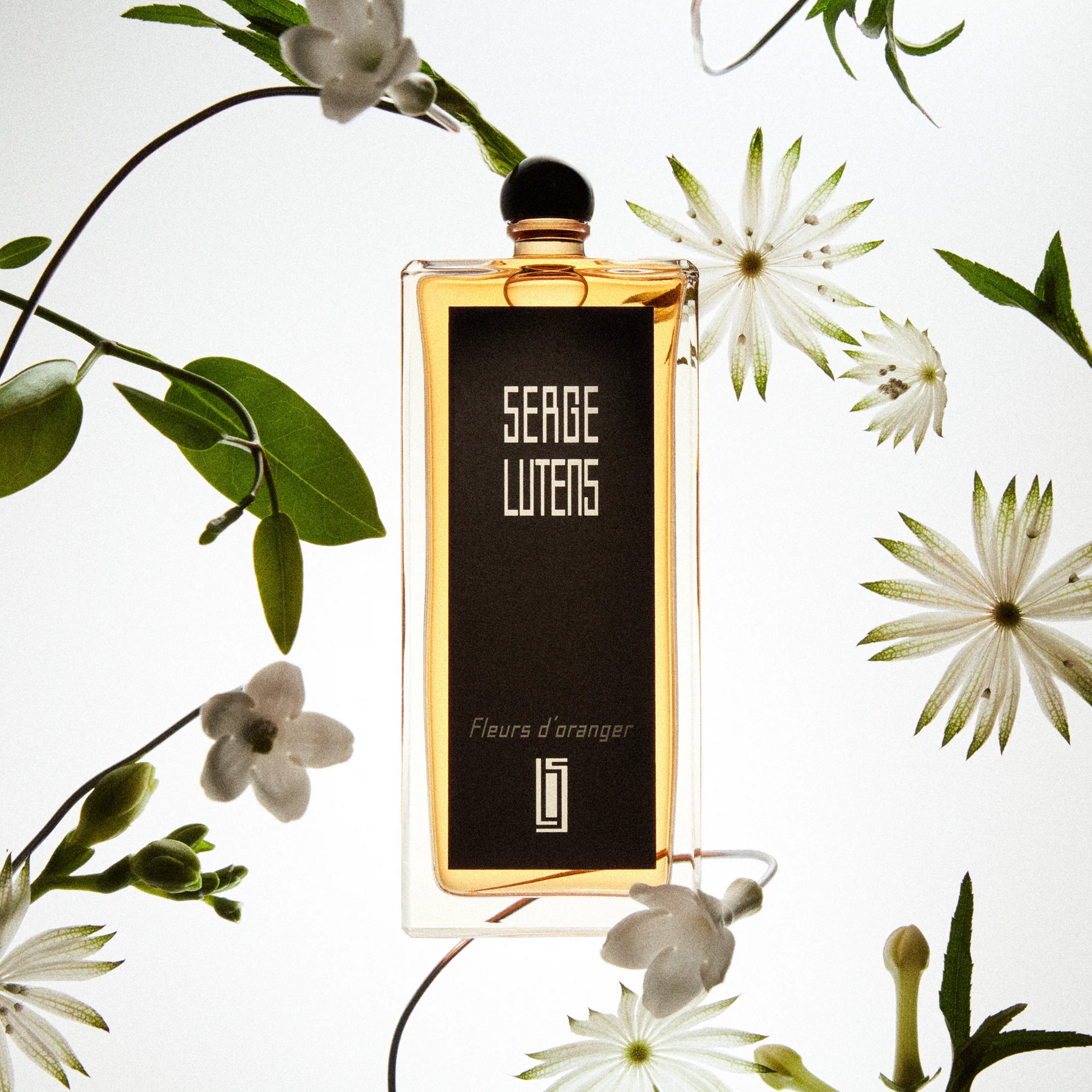 La fille de Berlin Eau de parfum