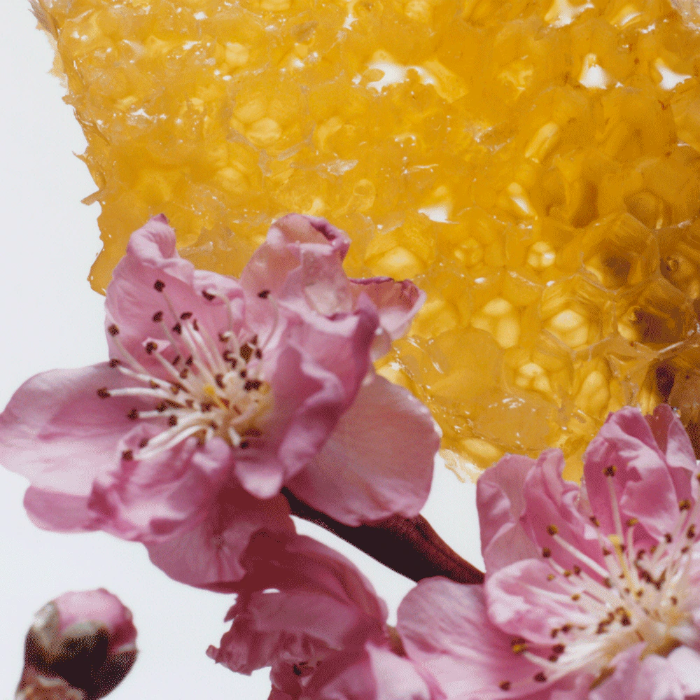 Jo Malone Perfume - Nectarine Blossom And Honey 100ml