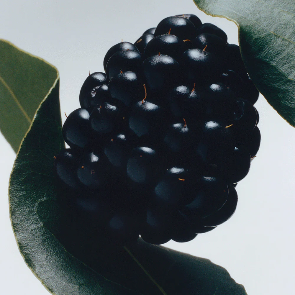 Jo Malone Blackberry & Bay Cologne 100ml / Express / Genuine