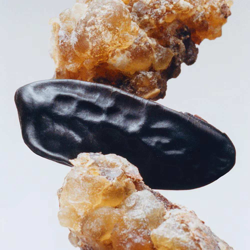 Jo Malone London Myrrh and Tonka Cologne Intense